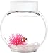 Animated Electronic Pet Clownfish- with Color-Changing LED Light & Decor