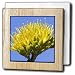 Bee pollinates a Desert Agave flower also called a Century Plant - 6 Inch Tile Napkin Holder