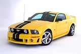 1999-2004 Mustang GT 9 Rally Racing Stripes, Kit A