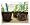 David's Garden Tool Seed Starter Organic Cow Pot 3 Inches Square 20 per Order
