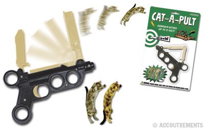 Cat-A-Pult Kitty Cat Flinger
