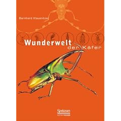 Wunderwelt der K�fer