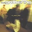 If Then Else