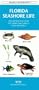 Florida Seashore Life: An Introduction to Familiar Plants and Animals (Pocket Naturalist)