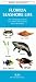 Book Florida Seashore Life: An Introduction to Familiar Plants and Animals (Pocket Naturalist)