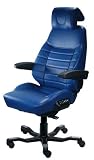 ACS Executive Office Chair Trimmed in Blue Leather