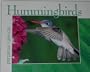 Hummingbirds Perpetual Calendar (Hummingbirds)