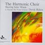 Hearing Solar Winds