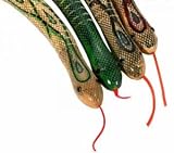 Kitchen & Housewares : Flexible Common Snake, Small