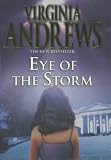 Eye Of The Storm (Hudson, Book 3)