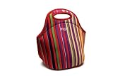 Outdoor Living : Built NY Gourmet Getaway Lunch Tote - Stripe