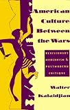 American Culture Between The Wars : Revisionary Modernism & Postmodern Critique