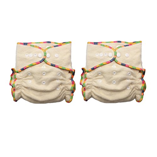 Hemp / Organic Cotton Fitted Cloth Diapers (Includes 2 Inserts; Fits 7-25lbs) (2 Pack)