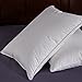 Puredown White Goose Feather and Down Pillow, Queen, Set of 2
