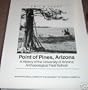 Point of Pines: A History of the University of Arizona Archaeological Field School (Anthropological Papers of the University of Arizona Series, 50)