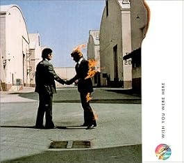 Cover of "Wish You Were Here"
