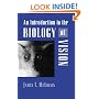An Introduction to the Biology of Vision