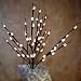 Pussy Willow (Natural) Lights 60 Bulbs -Light Garden