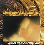 Ashes in the Brittle Air