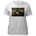 Artsmith, Inc. Women's T-Shirt Wood Ducks