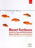 Mozart and Beethoven - Quintets for Piano and Wind Instruments (Ensemble Wien-Berlin/James Levine) [DVD] [1986] [Region 1] [NTSC]