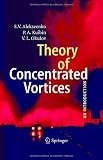 Theory of Concentrated Vortices: An Introduction
