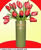 15 Red Tulips