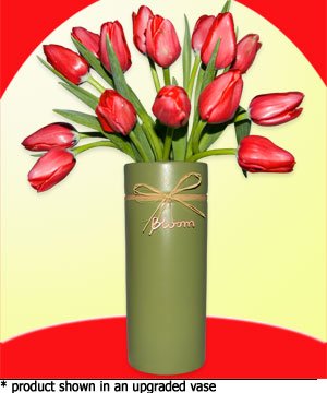 15 Red Tulips