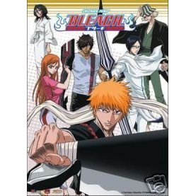 Bleach: Team Wall Scroll (Fabric Cloth) GE9712