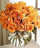 Send Fresh Cut Flowers - 25 Long Stem Orange Roses