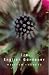The English Gardener (Bloomsbury Gardening Classics)