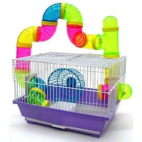 Purple Gerbil