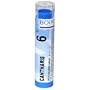 Boiron Homeopathic Medicine Cantharis, 6C Pellets, 80-Count Tubes (Pack of 5)
