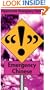 Emergency Chinese (Hippocrene Emergency Phrasebooks)