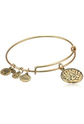 Alex and Ani Bangle Bar "Lotus Peace Petals" Rafaelian Expandable Bracelet