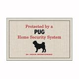 Protected by Pug Doormat