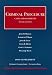 Haddad, Marsh, Zagel, Meyer, Starkman And Bauer's Cases And Comments on Criminal Procedure 2006 (University Casebook) (University Casebook) by James B. Haddad ISBN 1599411326