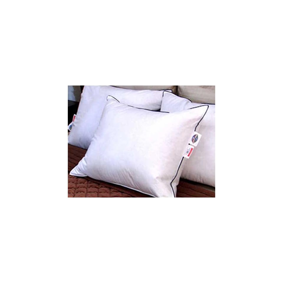 Pacific Coast Double Down Around Feather Pillow On Popscreen