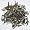 Organic Fujian White Peony Tea Leaves - Gourmet White Teas - 4 Ounces