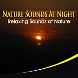Nature Sounds At Night