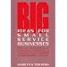 Big Ideas for Small Service Businesses: How to Successfully Advertise, Publicize and Maximize Your Business or Professional Practice
