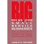 Big Ideas for Small Service Businesses: How to Successfully Advertise, Publicize and Maximize Your Business or Professional Practice