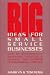 Big Ideas For Small Service Businesses: How To Successfully Advertise, Publicize, & Maximize Your Business or Professional Practice