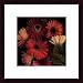 Barewalls Jubilee I by S. Rose Wood Framed Art Print