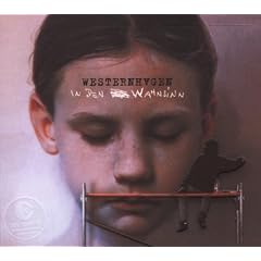In den Wahnsinn (Ltd. Digipack)