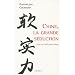 Chine, la grande s�duction : Essai sur le soft power chinois