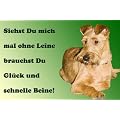 Metall - Warnschild Irischer, Irish Terrier