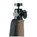 Trekpod Monopod/Tripod/Hiking Staff