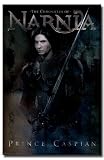 CHRONICLES OF NARNIA PRINCE CASPIAN MOVIE POSTER 9457