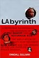 LAbyrinth: A Detective Investigates the Murders of Tupac Shakur and Notorious B.I.G. The Implication of Death Row Records' Suge Knight and the Origins of the Los Angeles Police Scandal
